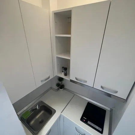 Apartment Calea Victoriei Cozy *
