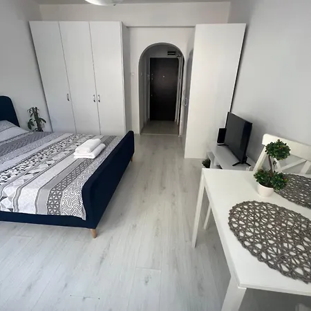 Calea Victoriei Cozy Appartement Boekarest