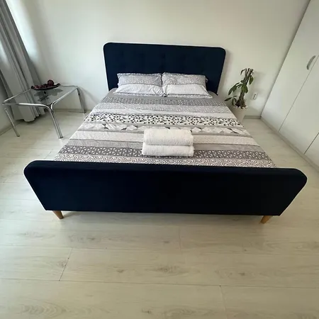 Calea Victoriei Cozy Apartman